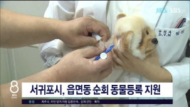 서귀포시, 읍면동 순회 동물등록 지원 - kakaoTV 서귀포시, 읍면동 순회 동물등록 지원