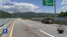 “나들이가다 아차했다간…5, 6월에 ‘로드킬’ 집중” - kakaoTV “나들이가다 아차했다간…5, 6월에 ‘로드킬’ 집중”