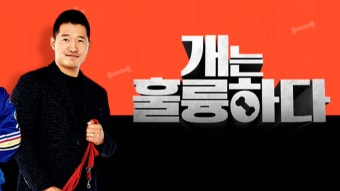 KBS '개훌륭' 강형욱 의혹에 3주 연속 결방 - kakaoTV KBS '개훌륭' 강형욱 의혹에 3주 연속 결방