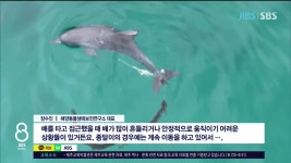 야긴구조컨설턴트 | 이번엔 구조될까...깊어지는 고민 - kakaoTV 이번엔 구조될까...깊어지는 고민