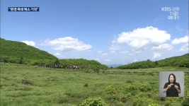 강원특별법 ‘환경 특례’ 기대…강원도 ‘환경 평가’ - kakaoTV 강원특별법 ‘환경 특례’ 기대…강원도 ‘환경 평가’