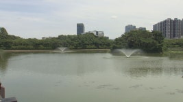 장맛비 소강, 밤부터 다시 비..낮에는 무더위 - kakaoTV 장맛비 소강, 밤부터 다시 비..낮에는 무더위