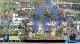 ‘장미공원’이 인구감소 대책?…실효성 논란 - kakaoTV ‘장미공원’이 인구감소 대책?…실효성 논란