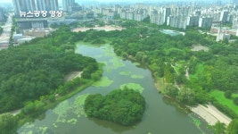 [뉴스광장 영상] 호수공원에서… - kakaoTV [뉴스광장 영상] 호수공원에서…