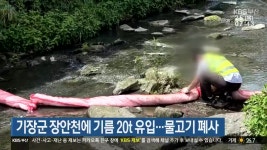기장군 장안천에 기름 20t 유입…물고기 폐사 - kakaoTV 기장군 장안천에 기름 20t 유입…물고기 폐사