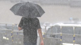 쨍쨍하더니 갑자기 쏟아져…스콜 같은 소나기, 왜? - kakaoTV 쨍쨍하더니 갑자기 쏟아져…스콜 같은 소나기, 왜?