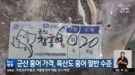 군산 홍어 가격, 흑산도 홍어 절반 수준 - kakaoTV 군산 홍어 가격, 흑산도 홍어 절반 수준