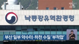 부산 일부 약수터·하천 수질 ‘부적합’ - kakaoTV 부산 일부 약수터·하천 수질 ‘부적합’