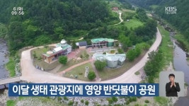 이달 생태 관광지에 영양 반딧불이 공원 - kakaoTV 이달 생태 관광지에 영양 반딧불이 공원