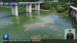 소양호, 또 ‘녹조’로 몸살…길이 6km 달해 - kakaoTV 소양호, 또 ‘녹조’로 몸살…길이 6km 달해