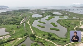 을숙도·맥도 생태공원 국가도시공원 지정 추진 - kakaoTV 을숙도·맥도 생태공원 국가도시공원 지정 추진