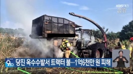당진 옥수수밭서 트랙터 불…1억 6천만 원 피해 - kakaoTV 당진 옥수수밭서 트랙터 불…1억 6천만 원 피해