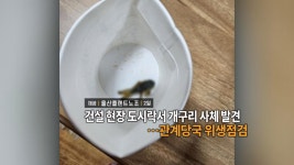 [영상구성] 건설현장 도시락에 개구리 사체…관계당국 위생점검 外 - kakaoTV [영상구성] 건설현장 도시락에 개구리 사체…관계당국 위생점검 外