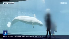 잇단 폐사 ‘돌고래 무덤’ 거제씨월드 폐쇄 논란 - kakaoTV 잇단 폐사 ‘돌고래 무덤’ 거제씨월드 폐쇄 논란
