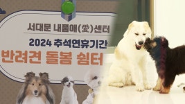 명절 유기견 줄이자…반려견 돌봄쉼터 운영 - kakaoTV 명절 유기견 줄이자…반려견 돌봄쉼터 운영
