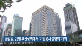 금감원, 25일 부산상의에서 ‘기업공시 설명회’ 개최 - kakaoTV 금감원, 25일 부산상의에서 ‘기업공시 설명회’ 개최
