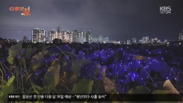 [마을의 꿈] 반야월 연꽃마을 협동조합 - kakaoTV [마을의 꿈] 반야월 연꽃마을 협동조합