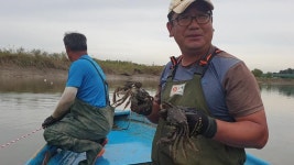 임금님 진상품 ‘임진강 참게’…속이 꽉 찬 가을, 제철 맞았다 - kakaoTV 임금님 진상품 ‘임진강 참게’…속이 꽉 찬 가을, 제철 맞았다