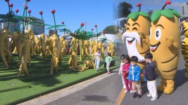 MZ 세대도 사로잡은 인삼…금산 세계인삼축제 개막 - kakaoTV MZ 세대도 사로잡은 인삼…금산 세계인삼축제 개막