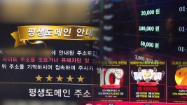 뛰는 ‘접속 차단’ 나는 ‘우회 접속’…“돈줄 차단 없인 무용지물” - kakaoTV 뛰는 ‘접속 차단’ 나는 ‘우회 접속’…“돈줄 차단 없인... 