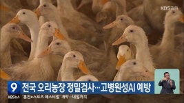 전국 오리농장 정밀검사…고병원성 AI 예방 - kakaoTV 전국 오리농장 정밀검사…고병원성 AI 예방
