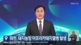 화천, 돼지농장 아프리카돼지열병 발생 - kakaoTV 화천, 돼지농장 아프리카돼지열병 발생