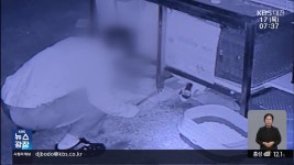 ‘시각장애묘’ 때리고 아기 고양이 납치…CCTV에 학대 포착 - kakaoTV ‘시각장애묘’ 때리고 아기 고양이 납치…CCTV에 학대 포착