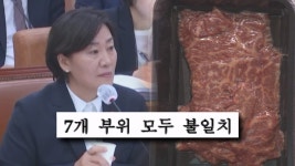 [단독] 국감서 선물 받은 1++ 한우…DNA 분석 결과 모두 가짜 - kakaoTV [단독] 국감서 선물 받은 1++ 한우…DNA 분석 결과 모두 가짜