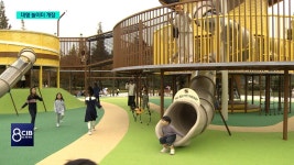 가족 힐링놀이터에 웃음꽃 활짝...진화하는 문암생태공원 - kakaoTV 가족 힐링놀이터에 웃음꽃 활짝...진화하는 문암생태공원