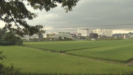 광주 상무지구, 도심융합특구 지정..2031년까지 개발 - kakaoTV 광주 상무지구, 도심융합특구 지정..2031년까지 개발