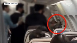 항공기 운항 중 20대 외국인 난동…“기억 안 난다” 진술 - kakaoTV 항공기 운항 중 20대 외국인 난동…“기억 안 난다” 진술