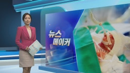 [뉴스메이커] 260g 예랑이 집으로 - kakaoTV [뉴스메이커] 260g 예랑이 집으로