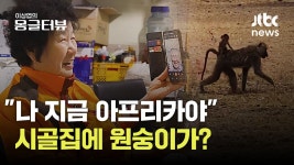 농촌마을에 초고속 인터넷 터지자...해외 영상통화에 농장 라이브까지 고립 대신 소통 - kakaoTV 농촌마을에 초고속 인터넷 터지자...해외... 
