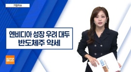 [기업이슈] 엔비디아, 호실적에도 주가 약세…성장세 둔화 우려↑ - kakaoTV [기업이슈] 엔비디아, 호실적에도 주가 약세…성장세 둔화 우려↑