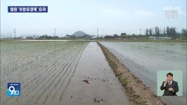 철원 부분휴경제 ‘성공’…내년 예산 대폭 확대 - kakaoTV 철원 부분휴경제 ‘성공’…내년 예산 대폭 확대