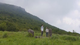 광주 배경 멜로영화 <무진연가> 깊은 여운 남겨 - kakaoTV 광주 배경 멜로영화 <무진연가> 깊은 여운 남겨