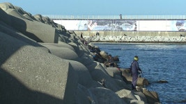 목숨 건 방파제 낚시...과태료 최고 100만 원 - kakaoTV 목숨 건 방파제 낚시...과태료 최고 100만 원