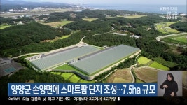 양양군 손양면에 스마트팜 단지 조성…7.5ha 규모 - kakaoTV 양양군 손양면에 스마트팜 단지 조성…7.5ha 규모