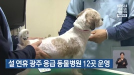설 연휴 광주 응급 동물병원 12곳 운영 - kakaoTV 설 연휴 광주 응급 동물병원 12곳 운영