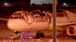 반만 남은 여객기…이 시각 김해공항 - kakaoTV 반만 남은 여객기…이 시각 김해공항