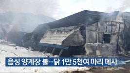 음성 양계장 불…닭 1만 5천여 마리 폐사 - kakaoTV 음성 양계장 불…닭 1만 5천여 마리 폐사