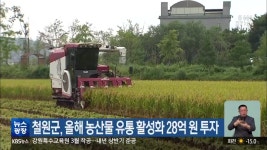 철원군, 올해 농산물 유통 활성화 28억 원 투자 - kakaoTV 철원군, 올해 농산물 유통 활성화 28억 원 투자