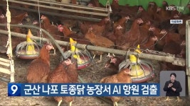 군산 나포 토종닭 농장서 AI 항원 검출 - kakaoTV 군산 나포 토종닭 농장서 AI 항원 검출