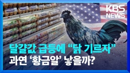 [영상] 미 달걀 급등에 “닭 기르자”…과연 ‘황금알’ 낳을까? - kakaoTV [영상] 미 달걀 급등에 “닭 기르자”…과연 ‘황금알’ 낳을까?