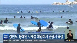 강원도, 동해안 사계절 해양레저 관광지 육성 - kakaoTV 강원도, 동해안 사계절 해양레저 관광지 육성
