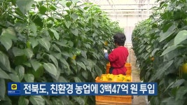 전북도, 친환경 농업에 3백47억 원 투입 - kakaoTV 전북도, 친환경 농업에 3백47억 원 투입