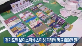 경기도민 보이스피싱·스미싱 피해액 평균 809만 원 - kakaoTV 경기도민 보이스피싱·스미싱 피해액 평균 809만 원