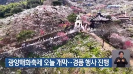 광양매화축제 오늘 개막…경품 행사 진행 - kakaoTV 광양매화축제 오늘 개막…경품 행사 진행