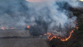 경북 의성 안평 진화율 4%‥야간 진화 총력 - kakaoTV 경북 의성 안평 진화율 4%‥야간 진화 총력