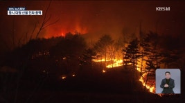 [특보] 산불 행동요령…“즉시 신고 뒤 신속히 대피해야” - kakaoTV [특보] 산불 행동요령…“즉시 신고 뒤 신속히 대피해야”